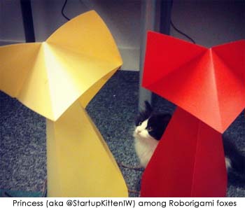 Princess and Roborigami